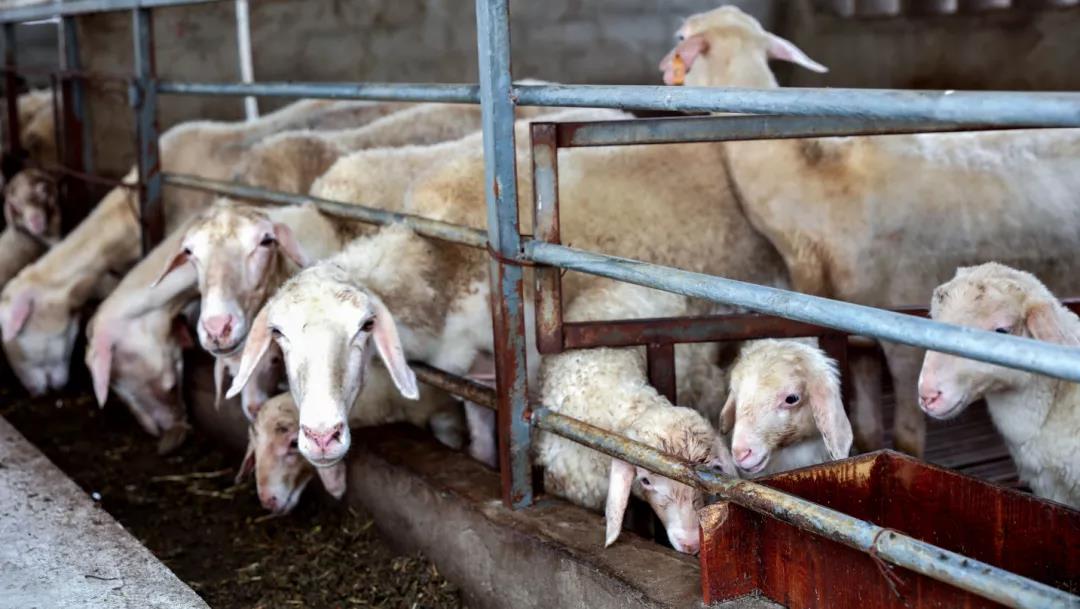 微信图片_20200810101912