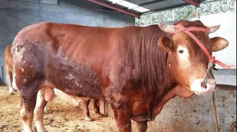 微信图片_20201130114242