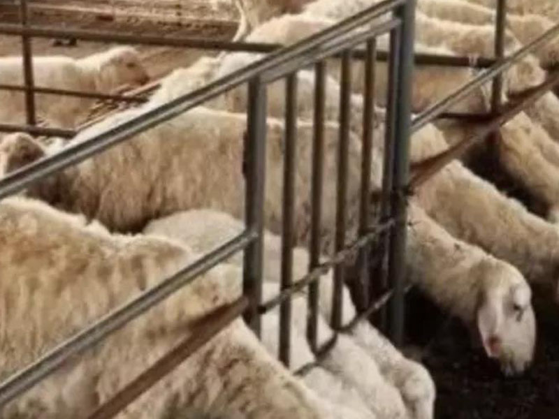 微信图片_20211225122610